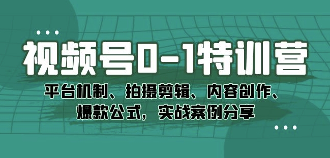 视频号0-1特训营：平台机制、拍摄剪辑、内容创作、爆款公式，实战案例分享-古龙岛网创