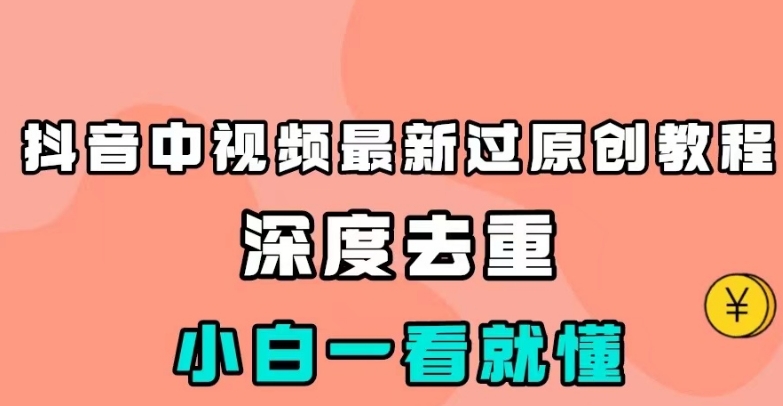 抖音中视频最新过原创教程，深度去重，小白一看就懂【揭秘】-古龙岛网创