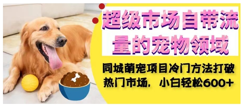 超级市场自带流量的宠物领域，同城萌宠项目冷门方法打破热门市场，小白轻松600+-古龙岛网创