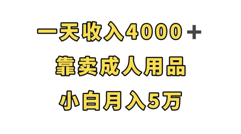 一天收入4000+，靠卖成人用品，小白轻松月入5万【揭秘】-古龙岛网创