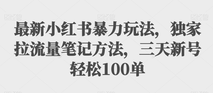 最新小红书暴力玩法，独家拉流量笔记方法，三天新号轻松100单【揭秘】-古龙岛网创
