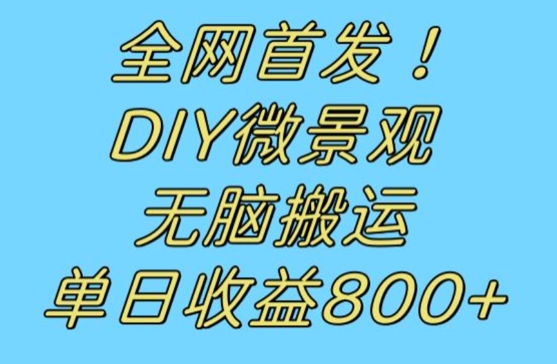 全网首发冷门赛道！DIY微景观，无脑搬运视频，日收益800+【揭秘】-古龙岛网创