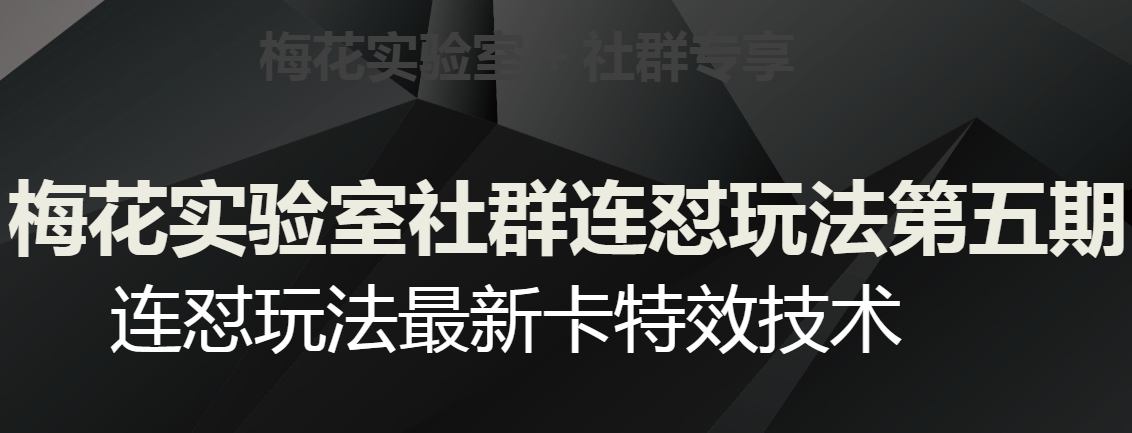梅花实验室社群连怼玩法第五期，视频号连怼玩法最新卡特效技术-古龙岛网创