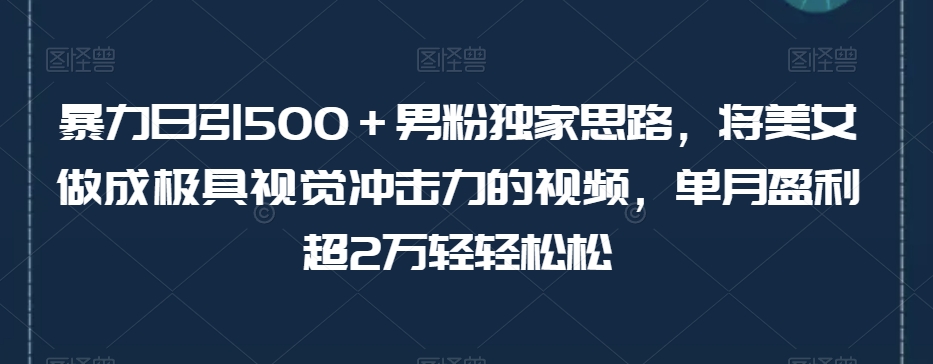 暴力日引500＋男粉独家思路，将美女做成极具视觉冲击力的视频，单月盈利超2万轻轻松松-古龙岛网创