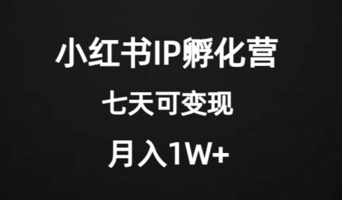 价值2000+的小红书IP孵化营项目，超级大蓝海，七天即可开始变现，稳定月入1W+-古龙岛网创