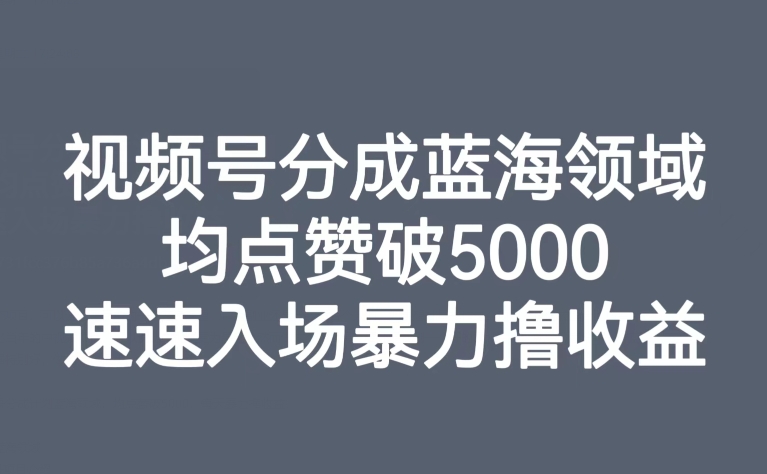 视频号分成蓝海领域，均点赞破5000，速速入场暴力撸收益-古龙岛网创