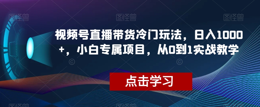 视频号直播带货冷门玩法，日入1000+，小白专属项目，从0到1实战教学【揭秘】-古龙岛网创