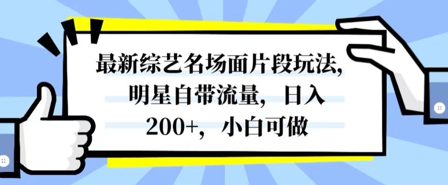 最新综艺名场面片段玩法，明星自带流量，日入200+，小白可做【揭秘】-古龙岛网创