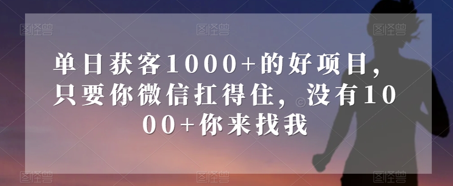 单日获客1000+的好项目，只要你微信扛得住，没有1000+你来找我【揭秘】-古龙岛网创