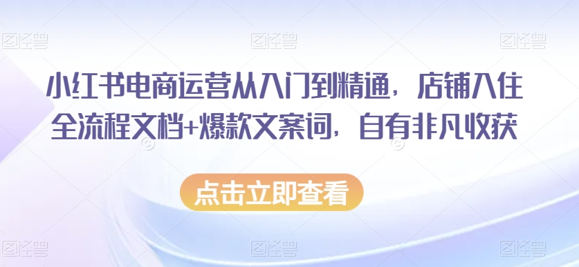 小红书电商运营从入门到精通，店铺入住全流程文档+爆款文案词，自有非凡收获-古龙岛网创