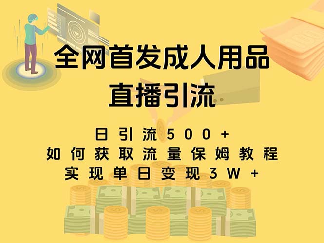 （8193期）最新全网独创首发，成人用品直播引流获客暴力玩法，单日变现3w保姆级教程-古龙岛网创