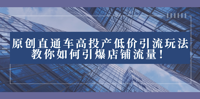 （8197期）2023直通车高投产低价引流玩法，教你如何引爆店铺流量！-古龙岛网创