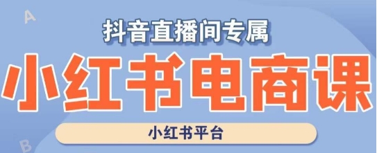 小红书电商高级运营课程，实操教学+案例分析-古龙岛网创