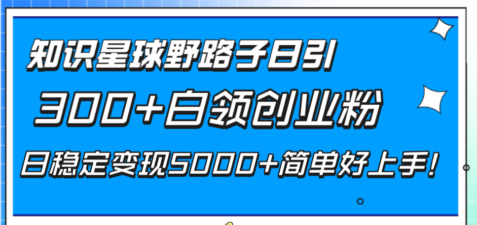 （8315期）知识星球野路子日引300+白领创业粉，日稳定变现5000+简单好上手！-古龙岛网创