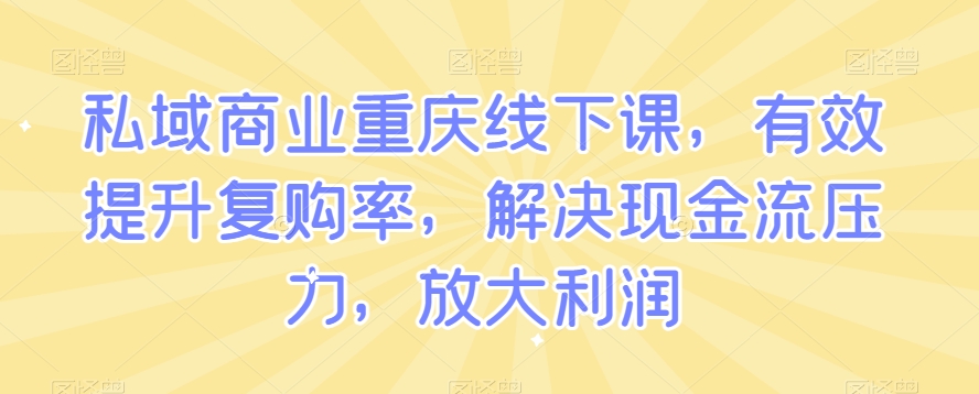 私域商业重庆线下课，有效提升复购率，解决现金流压力，放大利润-古龙岛网创