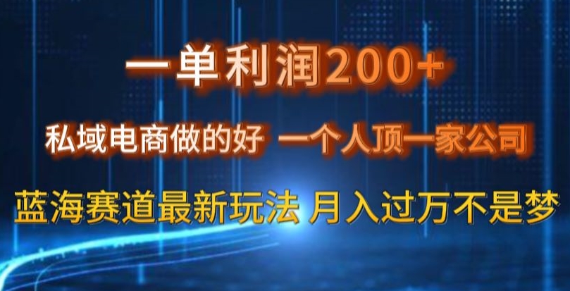 一单利润200私域电商做的好，一个人顶一家公司蓝海赛道最新玩法【揭秘】-古龙岛网创