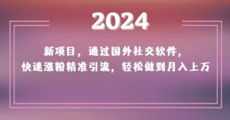 2024新项目，通过国外社交软件，快速涨粉精准引流，轻松做到月入上万【揭秘】-古龙岛网创