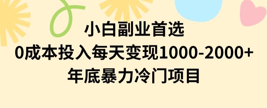 小白副业首选，0成本投入，每天变现1000-2000年底暴力冷门项目【揭秘】-古龙岛网创