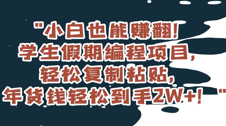 小白也能赚翻！学生假期编程项目，轻松复制粘贴，年货钱轻松到手2W+【揭秘】-古龙岛网创