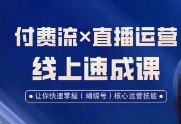 视频号付费流实操课程，付费流✖️直播运营速成课，让你快速掌握视频号核心运营技能-古龙岛网创