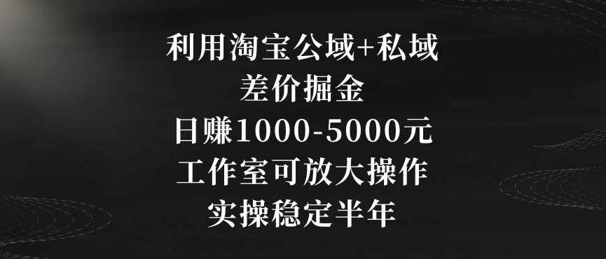利用淘宝公域+私域差价掘金，日赚1000-5000元，工作室可放大操作，实操稳定半年【揭秘】-古龙岛网创