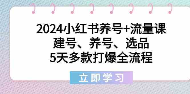 2024小红书养号+流量课：建号、养号、选品，5天多款打爆全流程-古龙岛网创