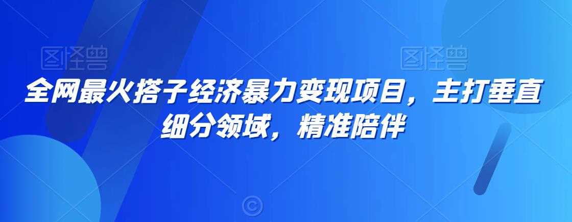 全网最火搭子经济暴力变现项目，主打垂直细分领域，精准陪伴【揭秘】-古龙岛网创