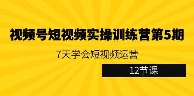（9029期）视频号短视频实操训练营第5期：7天学会短视频运营（12节课）-古龙岛网创