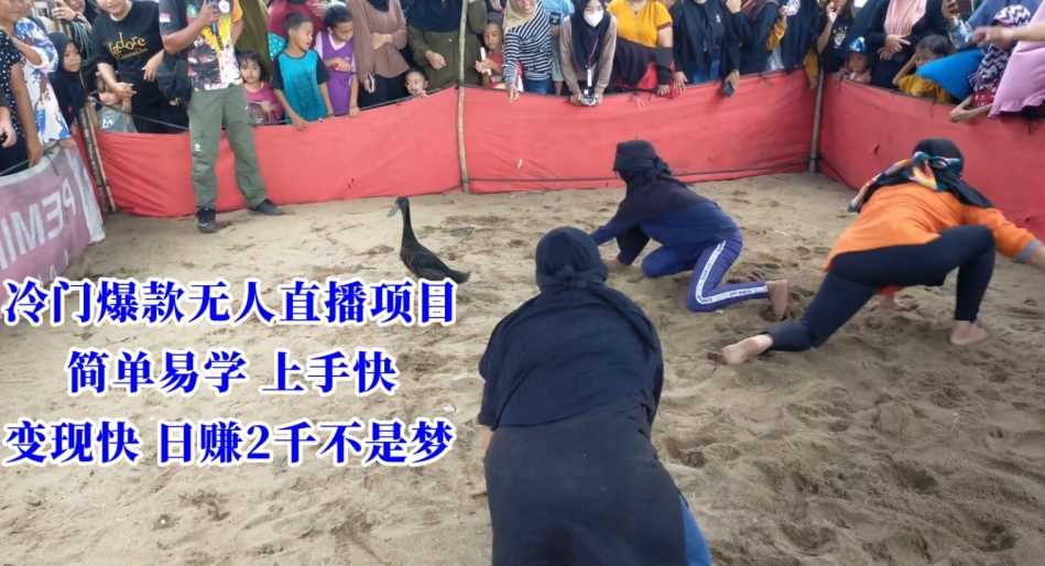 冷门爆款无人直播项目，简单易学上手快，变现快日赚2千不是梦【揭秘】-古龙岛网创