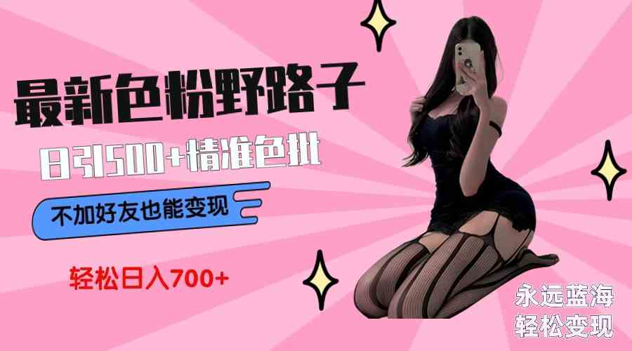 （9119期）最新色粉变现野路子，日引500+老色批 可不加好友直接变现 小白轻松日入700+-古龙岛网创