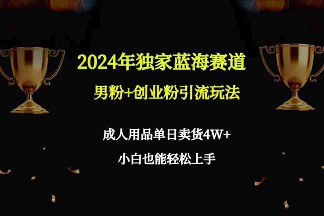 （9111期）2024年独家蓝海赛道男粉+创业粉引流玩法，成人用品单日卖货4W+保姆教程-古龙岛网创