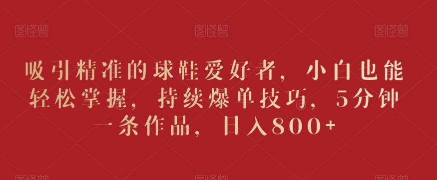 吸引精准的球鞋爱好者，小白也能轻松掌握，持续爆单技巧，5分钟一条作品，日入800+【揭秘】-古龙岛网创