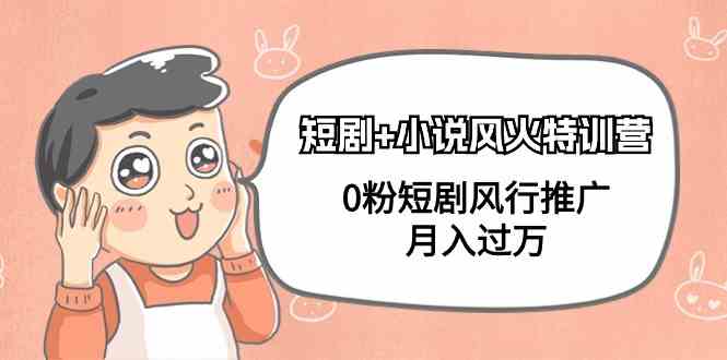 （9374期）短剧+小说风火特训营，0粉短剧风行推广，月入过万（102节课）-古龙岛网创