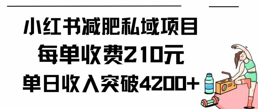 (9466期)小红书减肥私域项目每单收费210元单日成交20单,最高日入4200+-古龙岛网创
