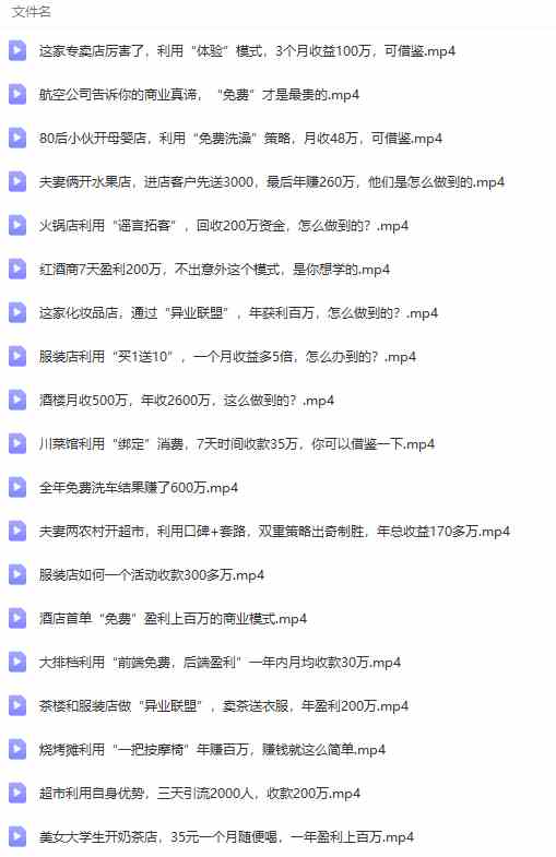 图片[8]-（9607期）真实有效391套商业模式，年入几十到几百万案例解析（电子书+视频+图文）-古龙岛网创