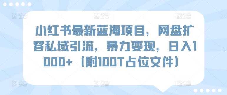 小红书最新蓝海项目，网盘扩容私域引流，暴力变现，日入1000+（附100T占位文件）【揭秘】-古龙岛网创