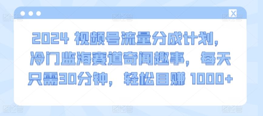2024视频号流量分成计划，冷门监海赛道奇闻趣事，每天只需30分钟，轻松目赚 1000+【揭秘】-古龙岛网创