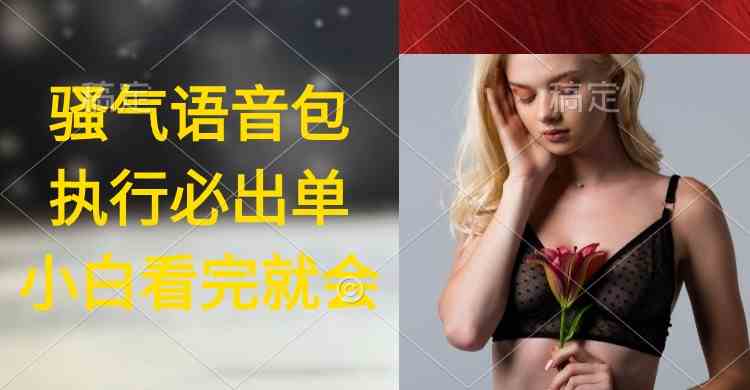 （9589期）执行就出单，日入2000+，超火骚气语音包，小白看完课程就能马上实操-古龙岛网创