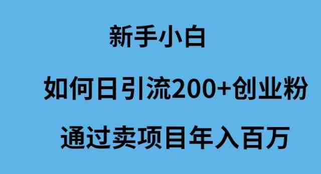 (9668期)新手小白如何日引流200+创业粉通过卖项目年入百万-古龙岛网创