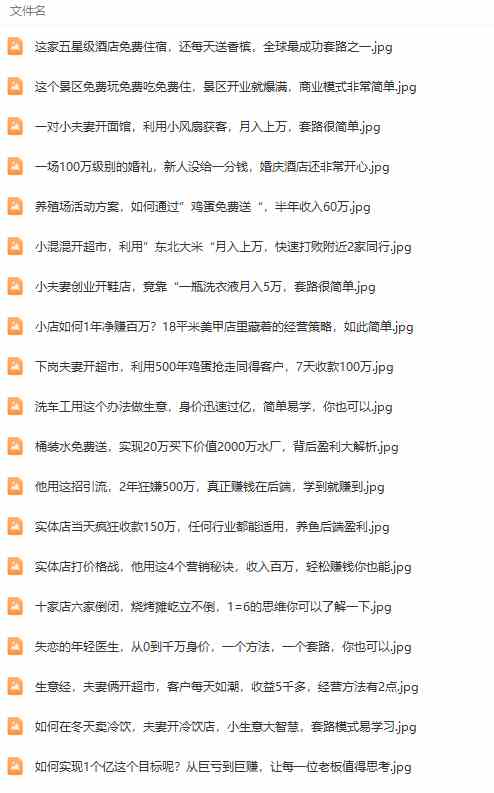 图片[4]-（9607期）真实有效391套商业模式，年入几十到几百万案例解析（电子书+视频+图文）-古龙岛网创