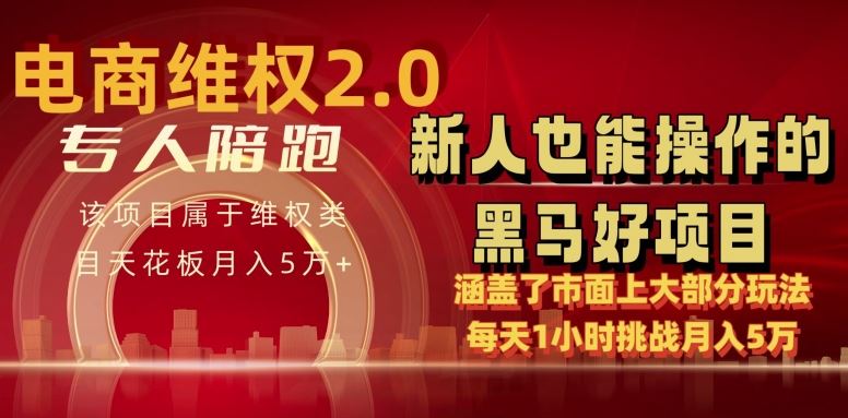 电商维权 4.0 如何做到月入 5 万+每天 1 小时新人也能快速上手【仅揭秘】-古龙岛网创