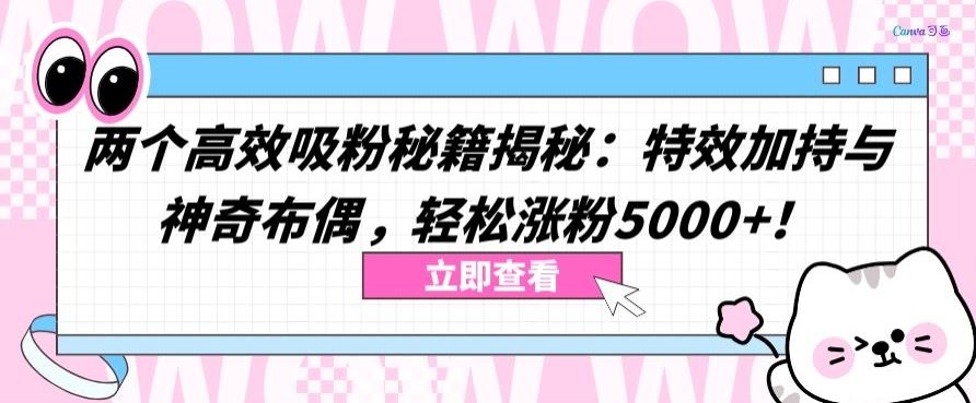 两个高效吸粉秘籍揭秘：特效加持与神奇布偶，轻松涨粉5000+【揭秘】-古龙岛网创