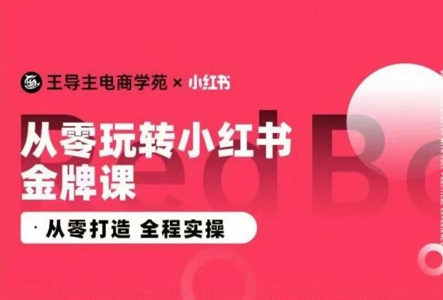 王导主·小红书电商运营实操课，​从零打造  全程实操-古龙岛网创