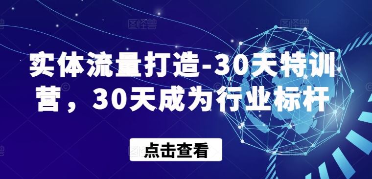 实体流量打造-30天特训营，30天成为行业标杆-古龙岛网创