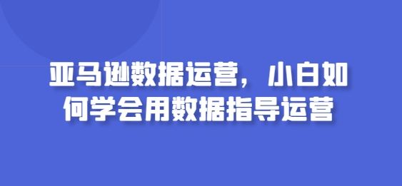 亚马逊数据运营，小白如何学会用数据指导运营-古龙岛网创