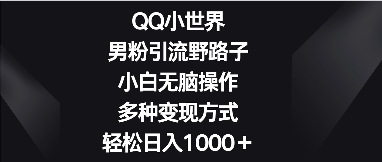 QQ小世界男粉引流野路子，小白无脑操作，多种变现方式轻松日入1000＋-古龙岛网创