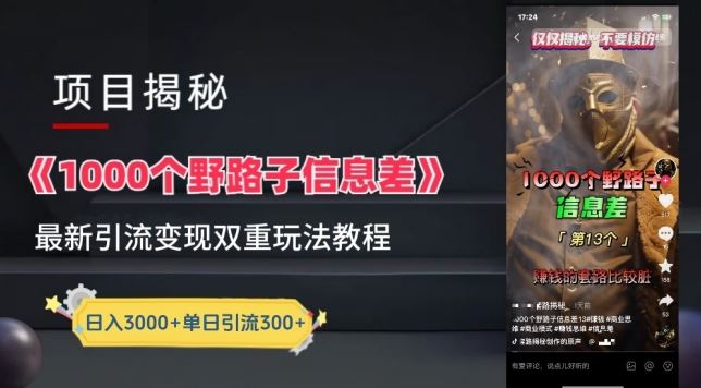 一千个野路子信息差最新玩法教程-变现+引流的玩法具体拆解【揭秘】-古龙岛网创