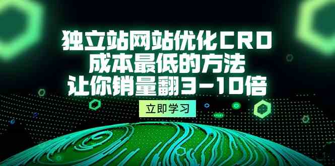 （10173期）独立站网站优化CRO，成本最低的方法，让你销量翻3-10倍（5节课）-古龙岛网创