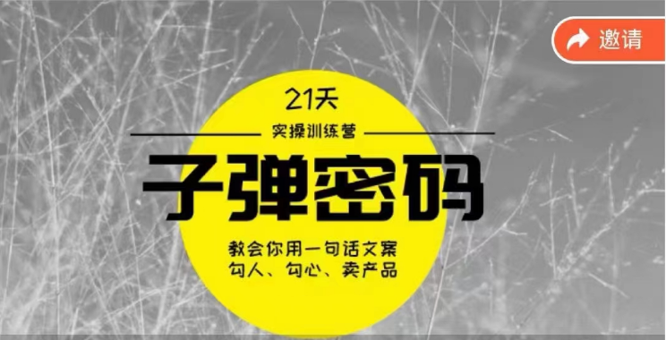 《子弹密码训练营》-用一句话文案勾人勾心卖产品，21天学到顶尖文案大师策略和技巧-古龙岛网创