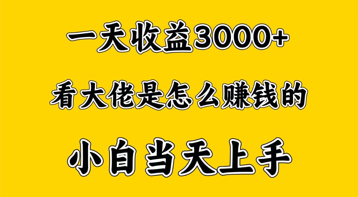 一天赚3000多，大佬是这样赚到钱的，小白当天上手，穷人翻身项目-古龙岛网创